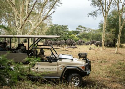 Game Drives