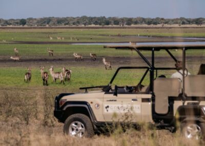 Game Drives
