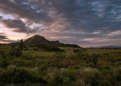 Mount Gorongosa Exploration