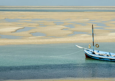 Dhow Cruises & Coastal Exploration