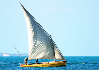 Dhow Cruises & Coastal Exploration