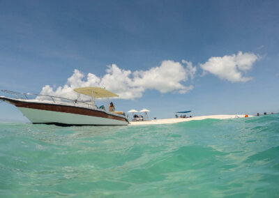 Dhow Cruises & Coastal Exploration