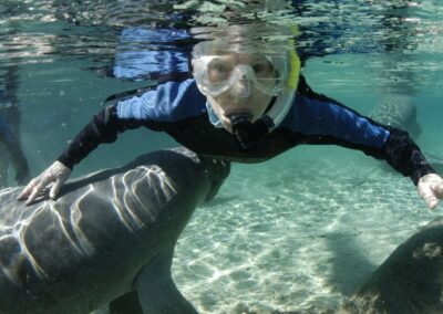 Snorkeling & Ocean Excursions