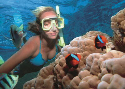 Snorkeling & Ocean Excursions