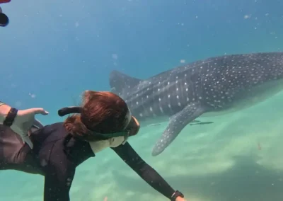 Snorkeling & Ocean Excursions