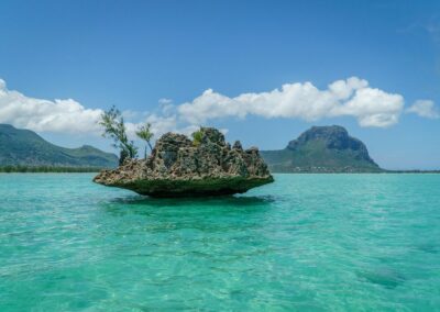 Scenic Coastal Exploration