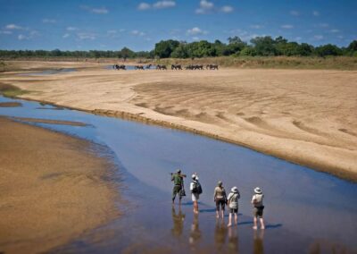 Luangwa River Wildlife Viewing