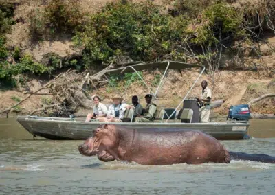 Luangwa River Wildlife Viewing