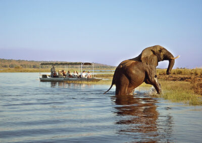 Luangwa River Wildlife Viewing