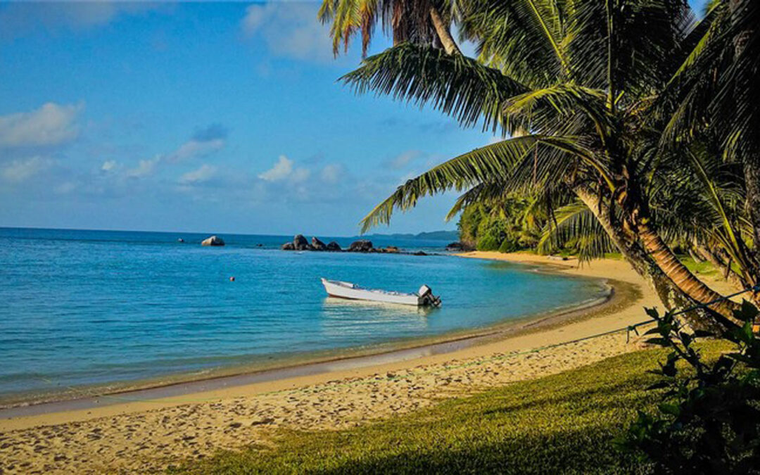 Madagascar East Andasibe
