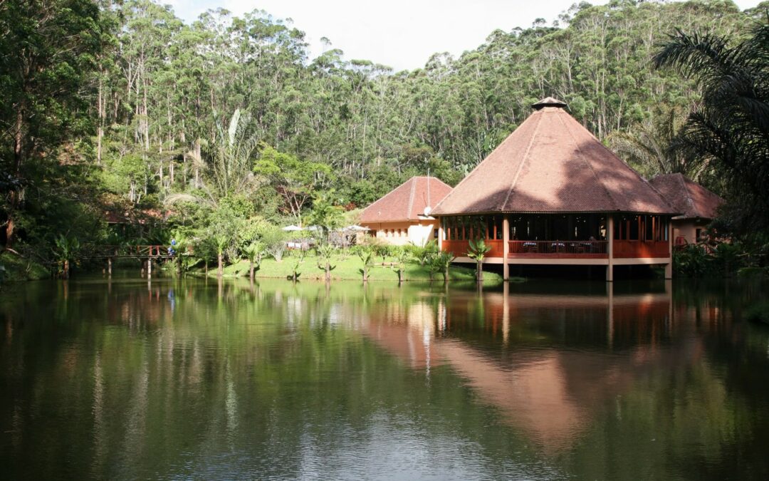 Vakona Forest Lodge