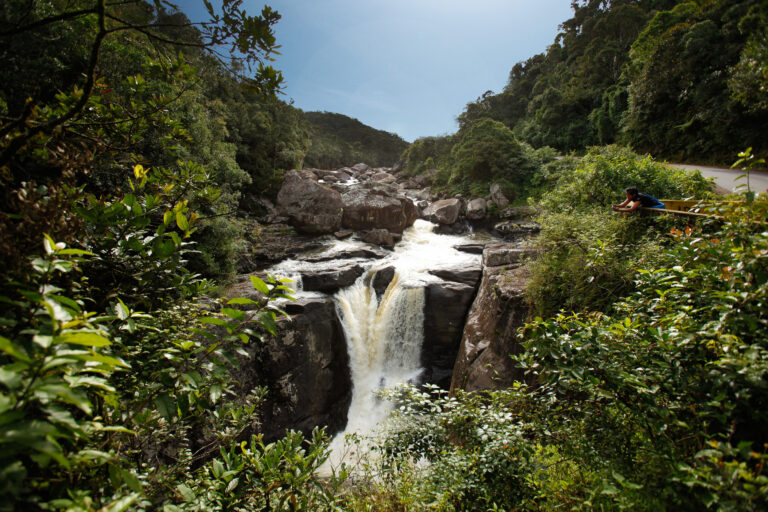 Madagascar East Ranomafana