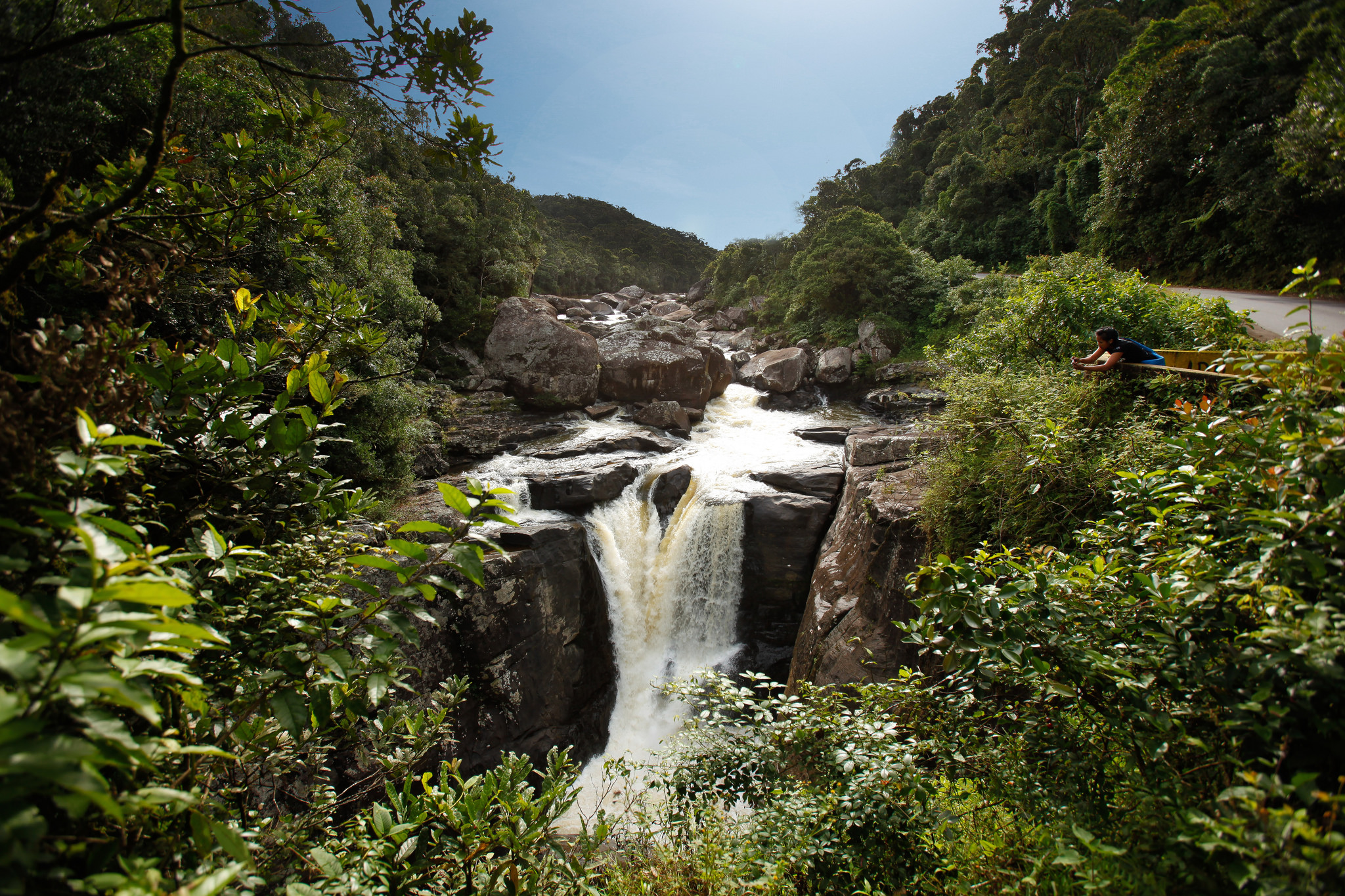 Madagascar East Ranomafana