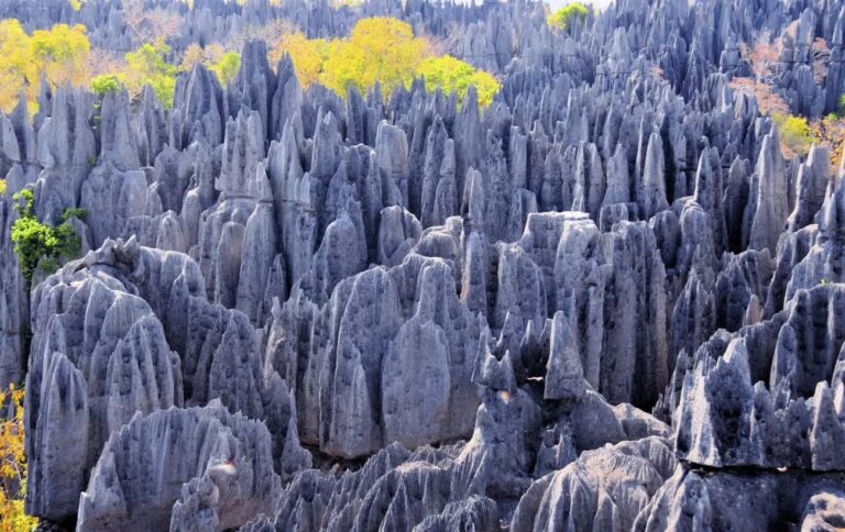 Madagascar West Bemaraha