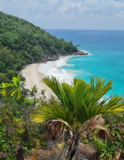 Scenic Island Drives