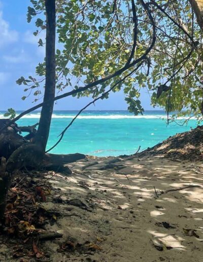 Scenic Island Drives