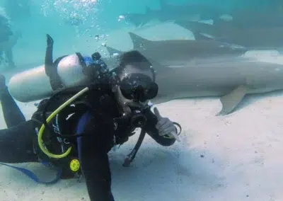 Scuba Diving