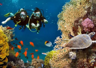 Scuba Diving