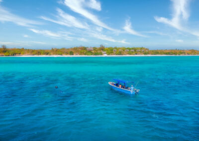 Whale Shark & Manta Ray Encounters