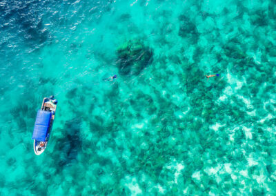 Whale Shark & Manta Ray Encounters