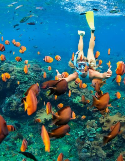 Snorkeling with Marine Life