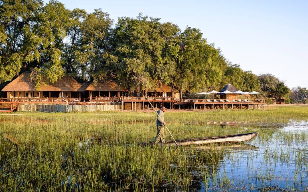 Sanctuary Chief’s Camp