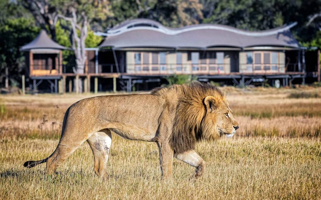 Xigera Safari Lodge