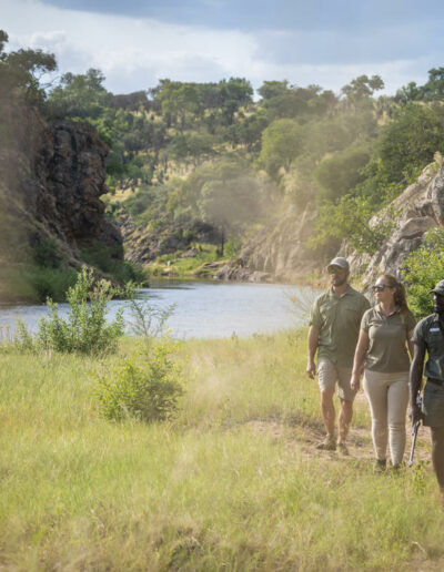Rainforest Guided Walks