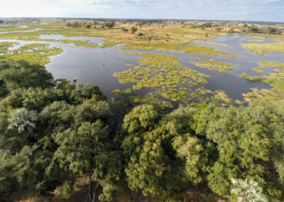 Savuti Channel Exploration