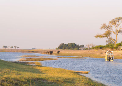 Savuti Channel Exploration