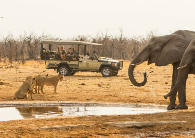 Savuti Game Drives