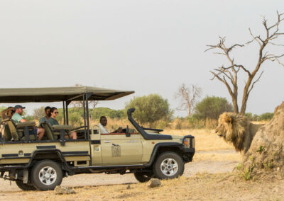 Savuti Game Drives