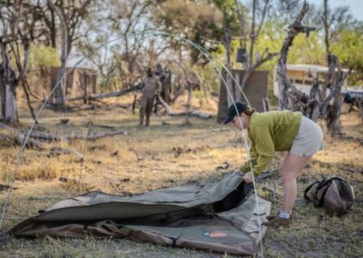 Savuti Game Drives