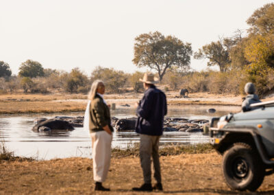 Savuti Game Drives