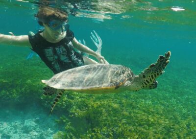 Snorkeling & Marine Discovery