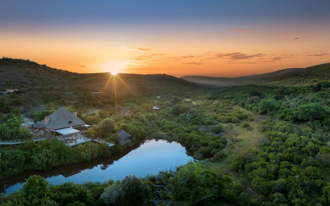 Eastern Cape Shamwari