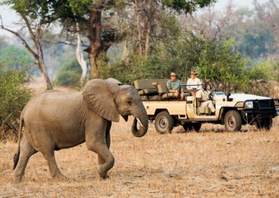 Zambia Walking Safaris