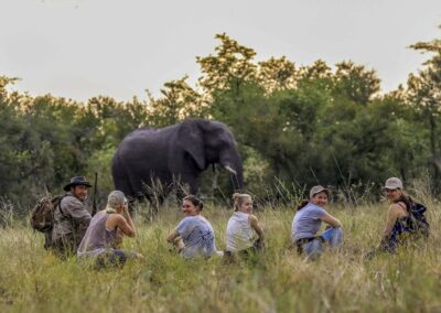 Zambia Walking Safaris