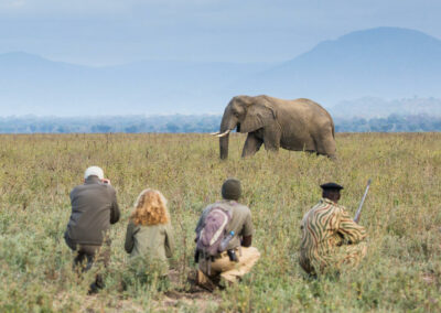 Zambia Walking Safaris