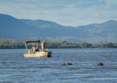 Zambezi River Cruises & Safari