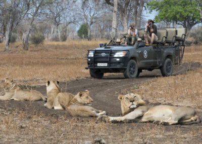 Zambia Game Drives