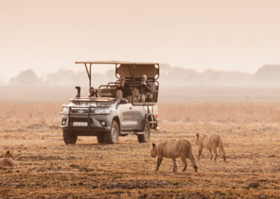 Zambia Game Drives