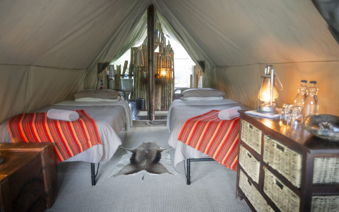 Quartermain’s Camp