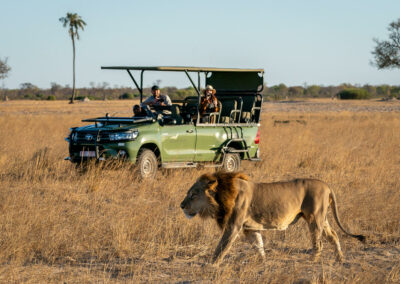 Game Drives
