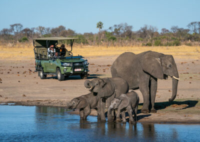 Game Drives