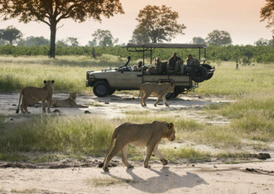 Game Drives