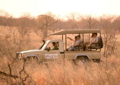 Game Drives