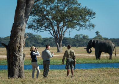 Walking Safaris