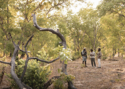 Walking Safaris