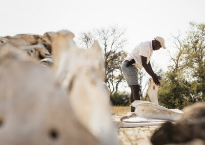 Waterhole Wildlife Viewing